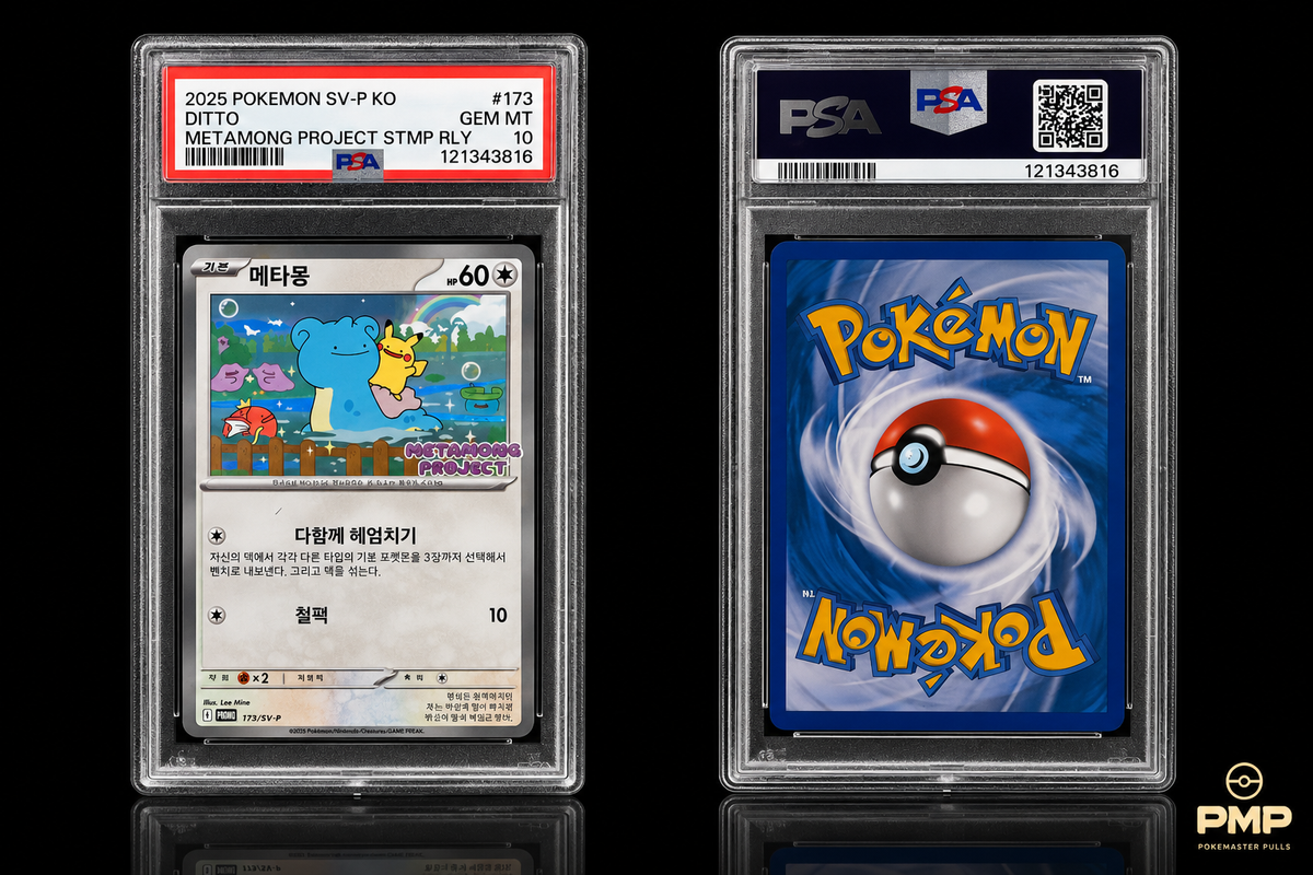 Pokemaster Pulls 2025 Korean Ditto 173/SV-P PSA 10 front and back